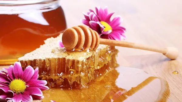 Forest_Honey_100%_Pure_Raw_Honey_Immunity_Booster_Stress_Buster_500Gm