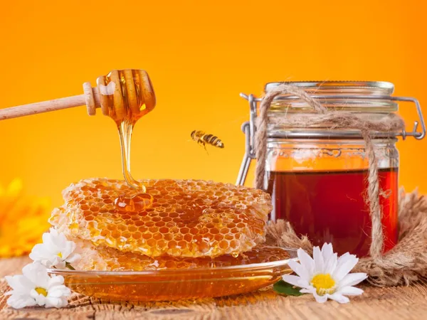 Forest_Honey_100%_Pure_Raw_Honey_Immunity_Booster_Stress_Buster_500Gm
