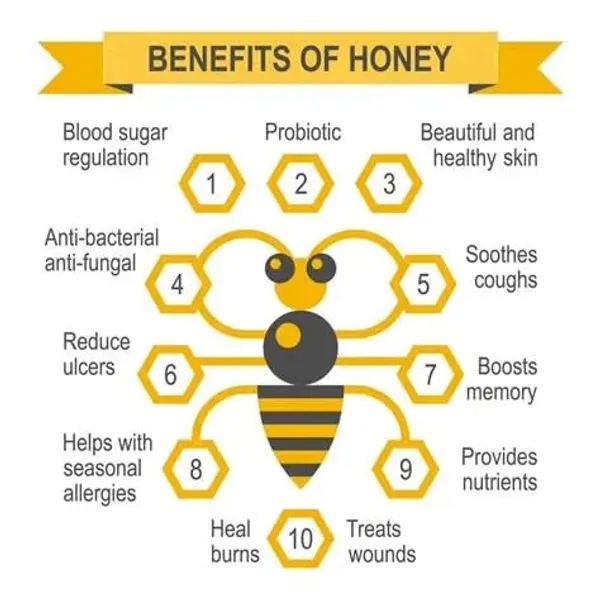 Organic_Honey_100%_Pure_Raw_Honey_Immunity_Booster_Stress_Buster_Unfiltered_&_Unpasteurized_Honey_250_Gm