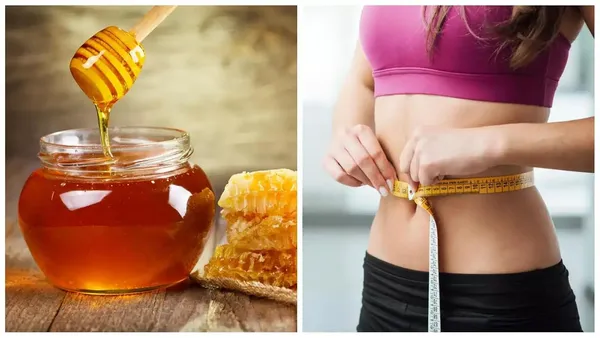 Calicut_Honey_-_Ayurvedic_Blend_For_Weight_Management_Appetite_Control_Supports_Skin_Health_With_Garcinia_&_Cinnamon_(500_Gm)