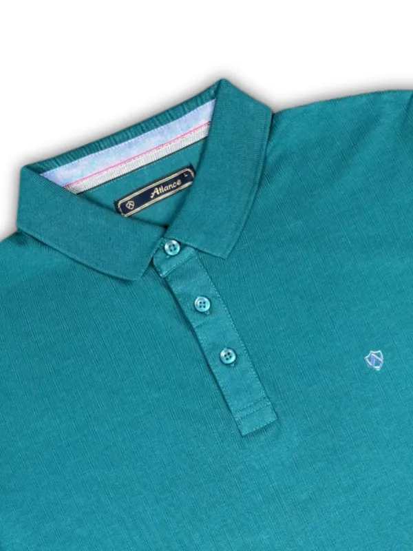 Rust_Green_Solid_Collared_Half_Sleeve_Stylish_&_Comfortable_T-Shirt_For_Men