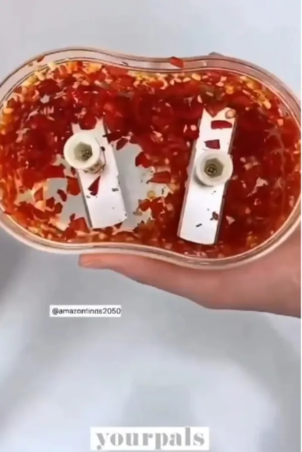 Transparent_Premium_Quality_Plastics_Chopper