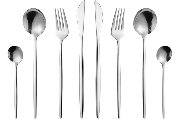 Silver_24-Piece_Stainless_Steel_Flatware_Set_Cutlery_Service_For_6_Knife_Fork_Spoon_Dining_Set_(Set_Of_2_(8Pcs)