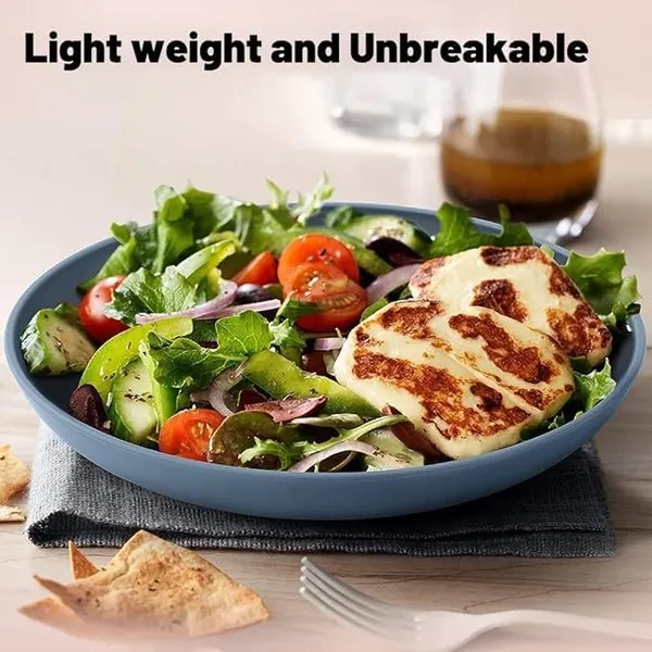 Blue_Wheat_Straw_Fibre_Dinner_Plates_Set_Of_6_Microwave_And_Dishwasher_Safe_Non-Toxic_Bpa-Free_Unbreakable_Stackable_(Pack_Of_4)