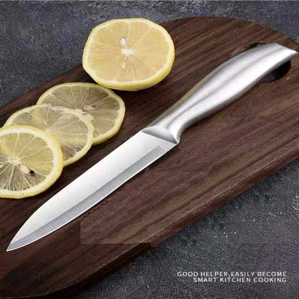 Silver_Stainless_Steel_Kitchen_Knife_With_Steel_Blade_And_Ergonomic_Steel_Handle_Cutter_For_Vegetables_Fruit_Home_Use_Thick_Durable_Blade_(Stainless_Steel_Knife_-C-A_C-B)