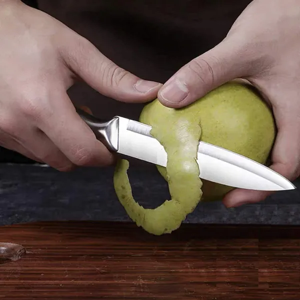 Silver_Stainless_Steel_Kitchen_Knife_With_Steel_Blade_And_Ergonomic_Steel_Handle_Cutter_For_Vegetables_Fruit_Home_Use_Thick_Durable_Blade_(Stainless_Steel_Knife_-C-A)