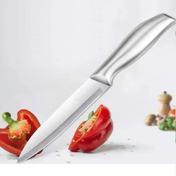 Silver_Stainless_Steel_Kitchen_Knife_With_Steel_Blade_And_Ergonomic_Steel_Handle_Cutter_For_Vegetables_Fruit_Home_Use_Thick_Durable_Blade_(Stainless_Steel_Knife_-C-A)