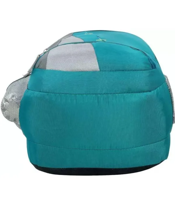 Medium_30_L_Laptop_Backpack_Large_Unisex_Bag_Office/School/College/Business