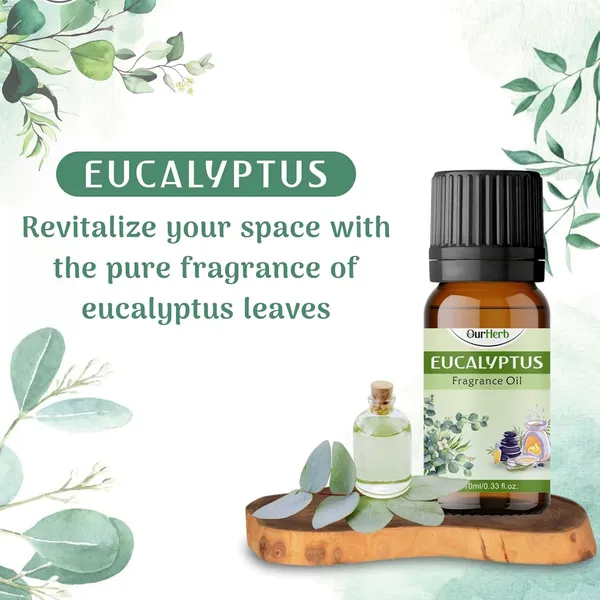 Aroma_Diffuser_Oil_Combo_(6_X_10Ml)_–_Lavender,_Sandalwood,_Lemongrass,_Jasmine,_Rose,_Eucalyptus_Fragrance_Oils_For_Diffuser,_Home_Fragrance,_Aromatherapy,_Helps_In_Relaxation_&_Meditation.