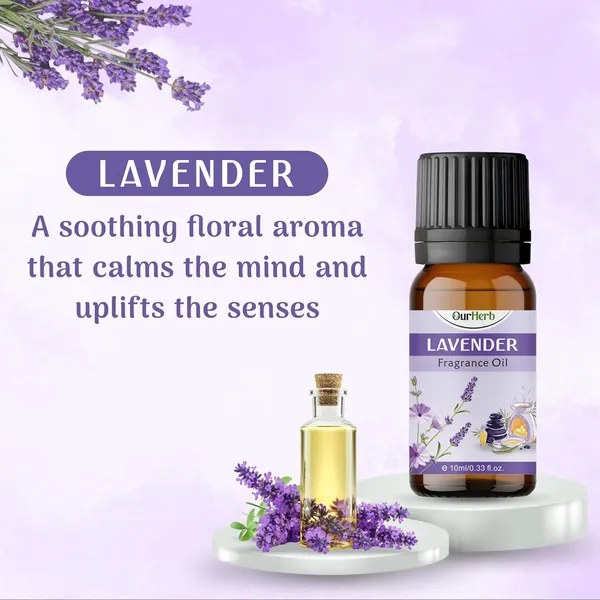 Aroma_Diffuser_Oil_Combo_(3_X_10Ml)_–_Lavender,_Sandalwood,Rose_Fragrance_(Essential)_Oils_For_Diffuser,_Home_Fragrance,_Candle_Making,_Aromatherapy_And_Helps_In_Relaxation_&_Meditation.