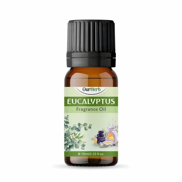 Eucalyptus_Fragrance(Essential)_Oil_10Ml_|_Natural_Aroma_Oil_For_Diffuser_&_Home_Fragrance_|_Ideal_For_Candle_Making,_Aromatherapy_&_Helps_In_Meditation_|_Aromatherapy,_Air_Fresheners