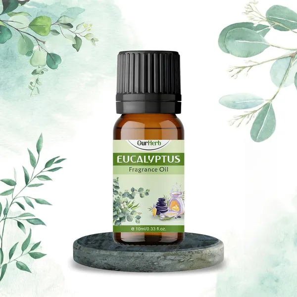 Eucalyptus_Fragrance(Essential)_Oil_10Ml_|_Natural_Aroma_Oil_For_Diffuser_&_Home_Fragrance_|_Ideal_For_Candle_Making,_Aromatherapy_&_Helps_In_Meditation_|_Aromatherapy,_Air_Fresheners