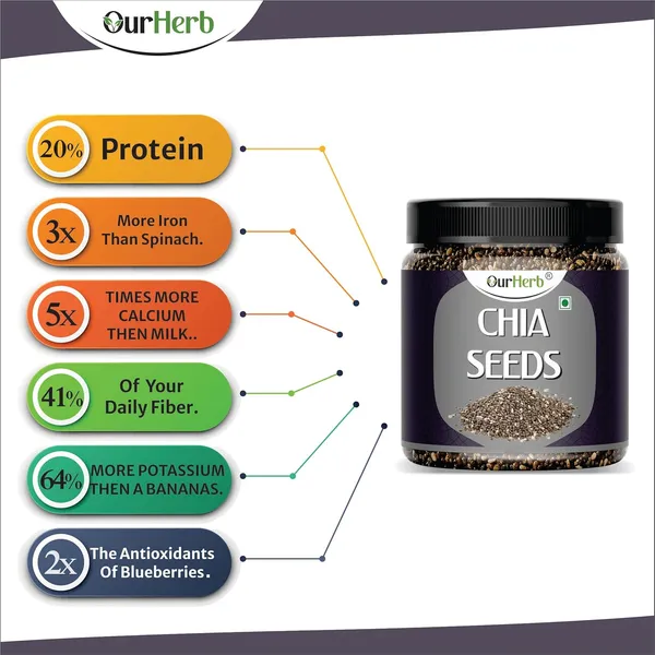 Chia_Seeds_Weight_Loss_Product_Calcium_And_Protein_Rich_Seeds_100G
