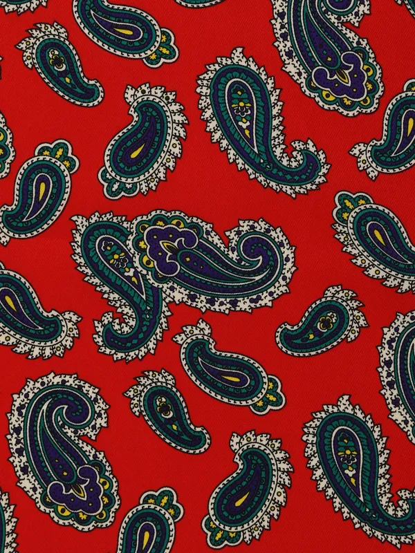 Men_Red_&_Blue_Printed_Pocket_Square