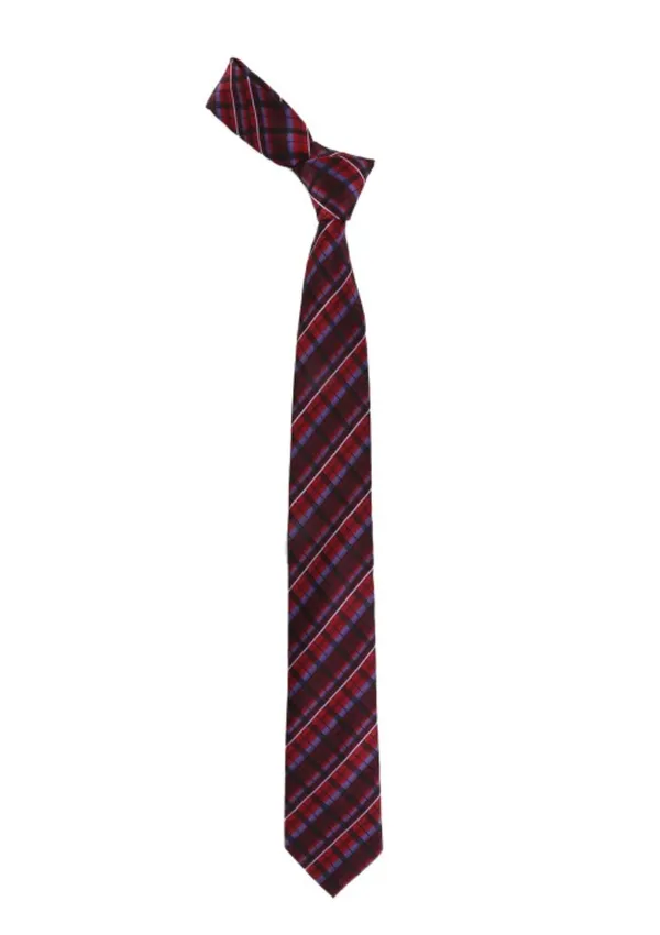 Calvadoss_Rust_Red_&_Blue_Checked_Broad_Tie