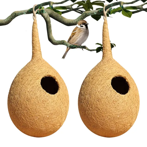 Organic_Bird_NEST_Set_of_2,_Purely_Made_by_Bird_Building_Technique_Bird_House_(Hanging,_Wall_Mounting,_Tree_Mounting)