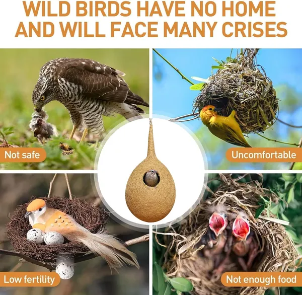 Organic_Large_Size_Bird_Nest_with_Adhesive_Hook_Set_of_2,_Bird_House_for_Nesting,_Breeding,_Decoration_(Hanging,_Wall_Mounting,_Tree_Mounting)