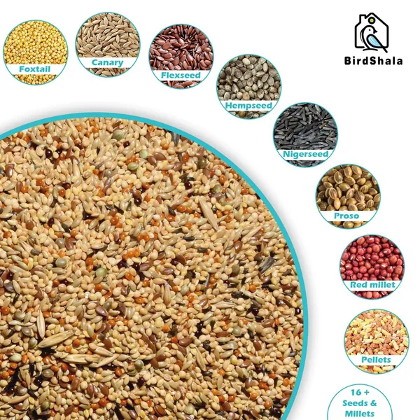 Bird_Food_for_Budgies_&_Finches_500Gm_|_Premium_Seed_Blend_of_Grains,_Millets_&_Fruit_Pellet