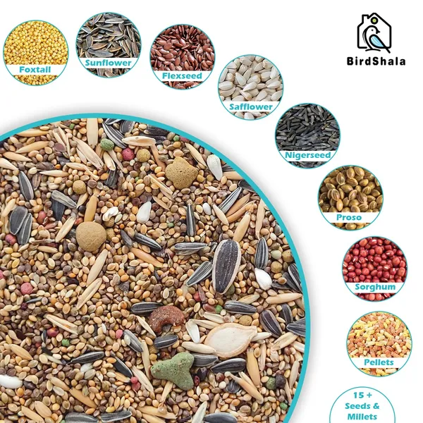 Bird_Food_for_Cockatiel_&_Lovebirds_|_Premium_Seed_Blend_of_Grains,_Millets_&_Fruit_Pellets
