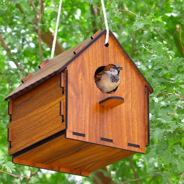 DIY_Birdhouse_for_Sparrow,_Finches_and_Wildbirds_|_DIY_Unfinished_Birdhouse_for_Decorations_Indoors_Gardens
