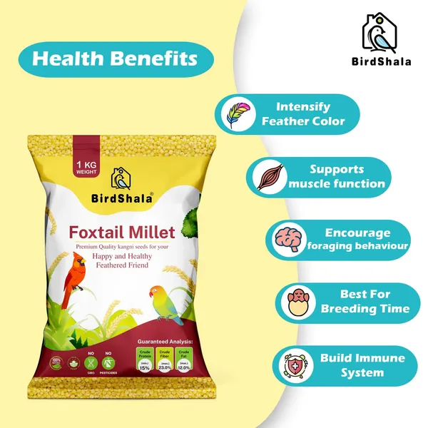 Premium_Foxtail_Millet_Bird_Food,_100%_Natural_Kangni_Seeds,_1_KG_Pack,_High_in_Protein_and_Fiber,_Chemical-Free_Pet_Feed_for_Small_and_Wild_Birds