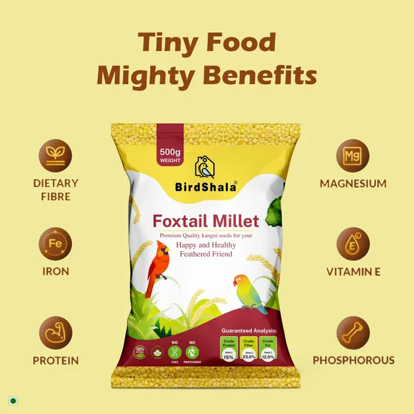Premium_Foxtail_Millet_Bird_Food,_100%_Natural_Kangni_Seeds,_500_gm_Pack,_High_in_Protein_and_Fiber,_Chemical-Free_Pet_Feed_for_Small_and_Wild_Birds