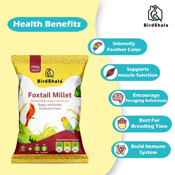 Premium_Foxtail_Millet_Bird_Food,_100%_Natural_Kangni_Seeds,_500_gm_Pack,_High_in_Protein_and_Fiber,_Chemical-Free_Pet_Feed_for_Small_and_Wild_Birds