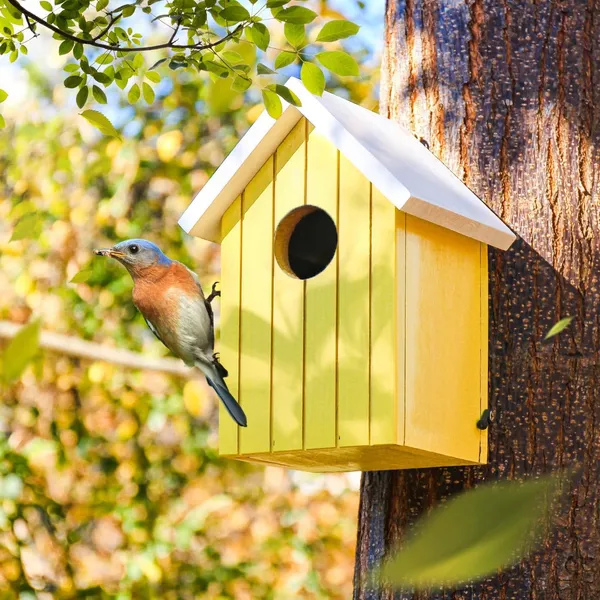 Wooden_Large_Bird_House_for_Sparrow,_Bulbul,_Budgies,_Wild_Birds_&_Pet_Birds_-_Colorful_Garden_Decorative_(Yellow)