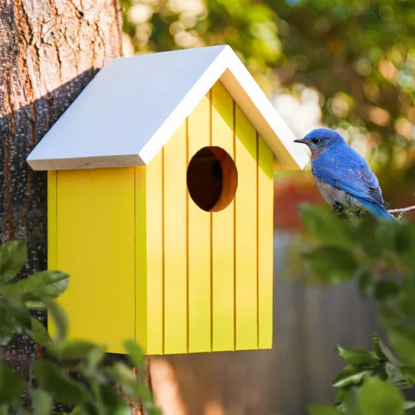 Wooden_Large_Bird_House_for_Sparrow,_Bulbul,_Budgies,_Wild_Birds_&_Pet_Birds_-_Colorful_Garden_Decorative_(Yellow)