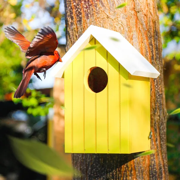 Wooden_Large_Bird_House_for_Sparrow,_Bulbul,_Budgies,_Wild_Birds_&_Pet_Birds_-_Colorful_Garden_Decorative_(Yellow)
