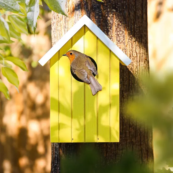 Wooden_Large_Bird_House_for_Sparrow,_Bulbul,_Budgies,_Wild_Birds_&_Pet_Birds_-_Colorful_Garden_Decorative_(Yellow)