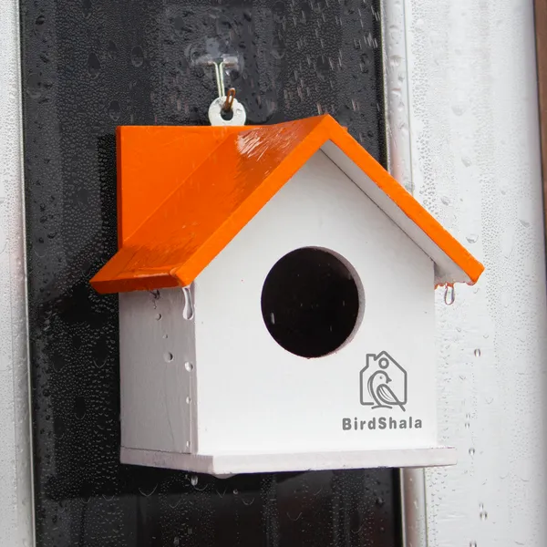 Bird_House_for_Sparrow,_Budgies_&_Finches_with_Air_Ventilation_and_Mounting_Hook_(Orange,_Medium)