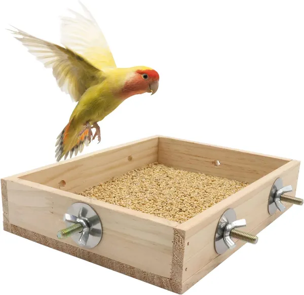 Bird_Parrot_Wooden_Feeder,_Natural_Wooden_Parrot_Bird_Perch_Stand,_Birds_Food_Dish,_Bird_Cage_Food_Standing_Feeding_Perch_Bowl_Toy_for_Small_Animal_Parrot,_Rat,_Parakeet,_Budgies,_Love_Birds