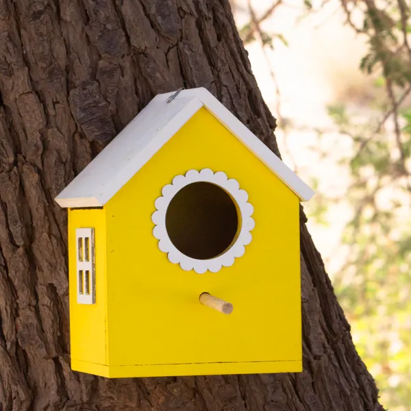 Bird_House_Safe_and_Attractive,_Yellow_with_White_Trim,_Ventilated_with_Perch_and_Drainage_Specially_Designed_for_Small_Size_Birds_Like_Sparrow,_Sunbird,_Prinia,_Tailorbird,_Humming_Bird