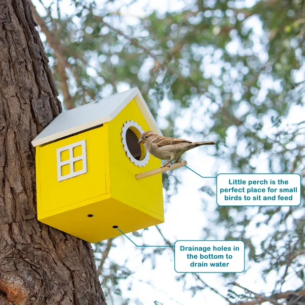 Bird_House_Safe_and_Attractive,_Yellow_with_White_Trim,_Ventilated_with_Perch_and_Drainage_Specially_Designed_for_Small_Size_Birds_Like_Sparrow,_Sunbird,_Prinia,_Tailorbird,_Humming_Bird