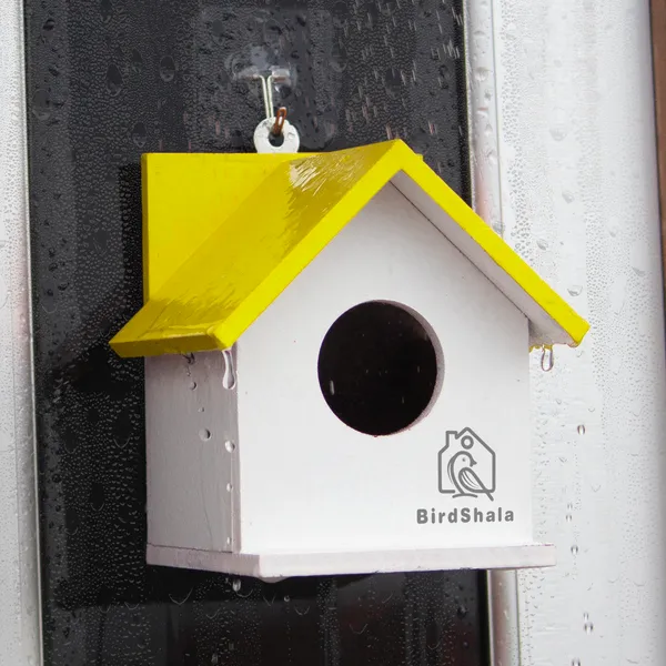 Bird_House_for_Sparrow,_Budgies_&_Finches_with_Air_Ventilation_and_Mounting_Hook_(Orange_-_Set_of_4)