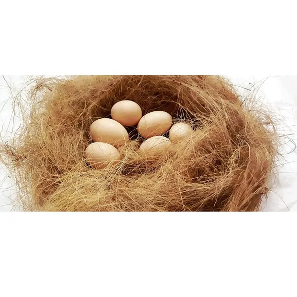 JUGNOO_Nesting_Material_For_Birds_For_Making_Nest_|_Manually_Extracted_Natural_Coir_Fiber,_Laying_Eggs_Breeding_As_Natural_Bed,_Playing_Toy_And_Many_More_250_Grams