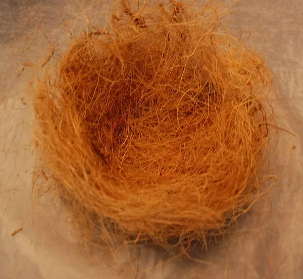 JUGNOO_Nesting_Material_For_Birds_For_Making_Nest_|_Manually_Extracted_Natural_Coir_Fiber,_Laying_Eggs_Breeding_As_Natural_Bed,_Playing_Toy_And_Many_More_250_Grams