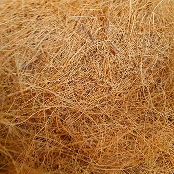 JUGNOO_Nesting_Material_For_Birds_For_Making_Nest_|_Manually_Extracted_Natural_Coir_Fiber,_Laying_Eggs_Breeding_As_Natural_Bed,_Playing_Toy_And_Many_More_250_Grams