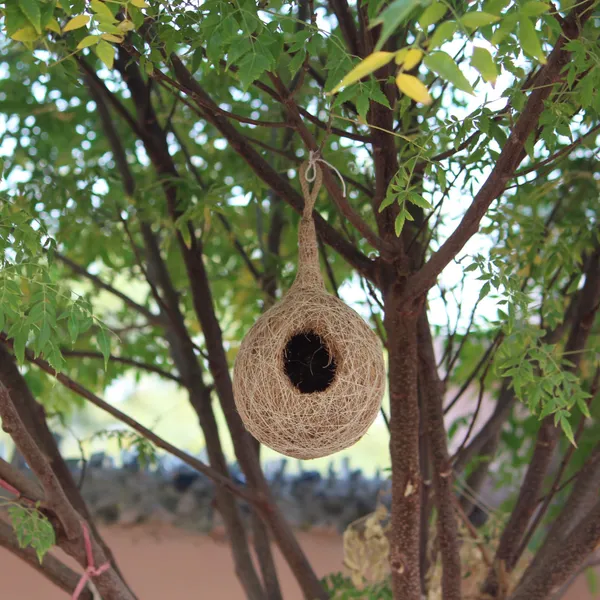 Organic_Bird_Nest_Large_Size_Set_of_2_|_Handmade_Coir_Fiber_&_Jute_Bird_House_for_Sparrow_&_Small_Birds_|_Hanging,_Wall_&_Tree_Mount_Bird_Nest_for_Balcony,_Garden_&_Outdoor_Use_|_Brown_Color