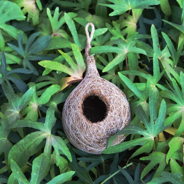 Organic_Bird_Nest_Large_Size_Set_of_2_|_Handmade_Coir_Fiber_&_Jute_Bird_House_for_Sparrow_&_Small_Birds_|_Hanging,_Wall_&_Tree_Mount_Bird_Nest_for_Balcony,_Garden_&_Outdoor_Use_|_Brown_Color