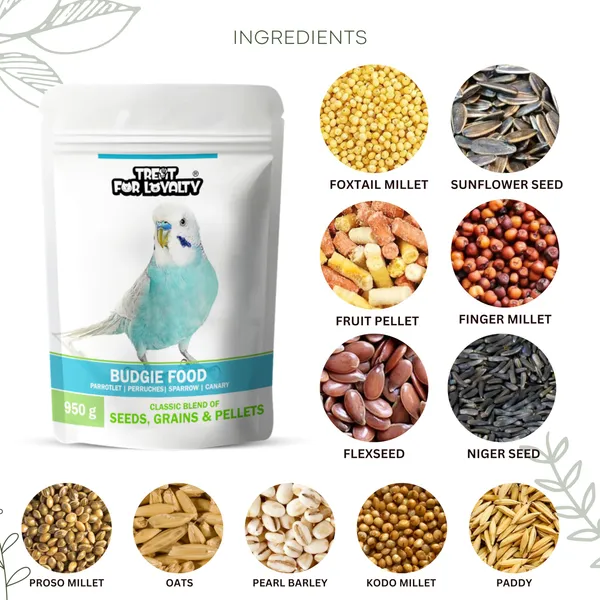 TREAT_FOR_LOYALTY_Budgies_&_Finches_Food|Seed,_Grains_&_Fruit_Pellets|For_Sparrow,_Parrotlet,_Perruches,_Canary,_Wild_Birds,All_Life_Stages,1_Count