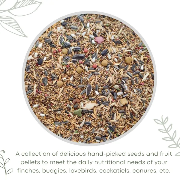 TREAT_FOR_LOYALTY_Budgies_&_Finches_Food|Seed,_Grains_&_Fruit_Pellets|For_Sparrow,_Parrotlet,_Perruches,_Canary,_Wild_Birds,All_Life_Stages,1_Count