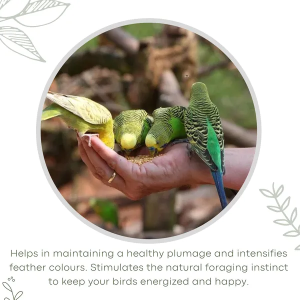 TREAT_FOR_LOYALTY_Budgies_&_Finches_Food|Seed,_Grains_&_Fruit_Pellets|For_Sparrow,_Parrotlet,_Perruches,_Canary,_Wild_Birds,All_Life_Stages,1_Count