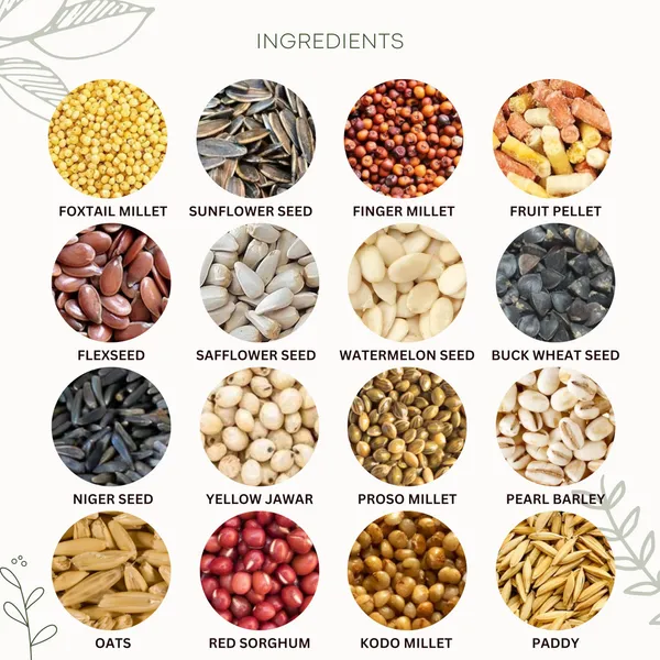 TREAT_FOR_LOYALTY_Cockatiel_Lovebird_Food|Seeds,_Grains,_Nuts_&_Fruit_Pellets|For_Cockatiel,_Lovebird,_Parakeet,_Agapornis,_Conure,_Indian_Parrot,All_Life_Stages,1_Count
