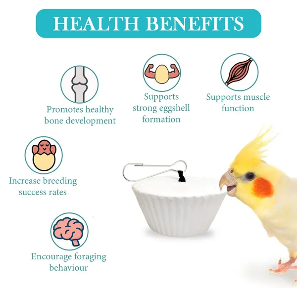 TREAT_FOR_LOYALTY_Natural_Calcium_Block_with_Minerals_for_Birds_|_High_Calcium_Bird_Supplement_|_Ideal_for_Finch,_Budgies,_Lovebirds,_Parrots_&_More_|_Easy_to_Digest_&_Boosts_Energy_-_60g_(Set_of_1)