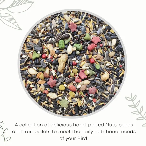 TREAT_FOR_LOYALTY_Parrot_Food_For_African_Grey_Parrot,Sun_Conure,Macaw,Lovebird_&_Alexander|Seeds,Nuts_&_Fruit_Pellets_Mix|Premium_Seed_Blend_-_450G,All_Life_Stages
