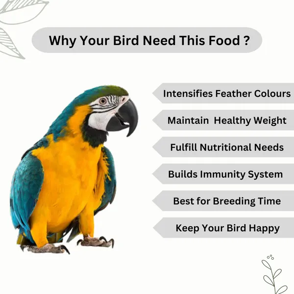 TREAT_FOR_LOYALTY_Parrot_Food_For_African_Grey_Parrot,Sun_Conure,Macaw,Lovebird_&_Alexander|Seeds,Nuts_&_Fruit_Pellets_Mix|Premium_Seed_Blend_-_450G,All_Life_Stages
