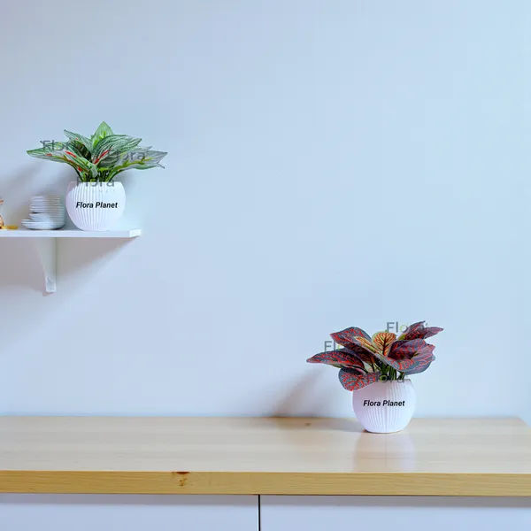 Flora_Planet_Artificial_Decorative_Plant_with_Pot