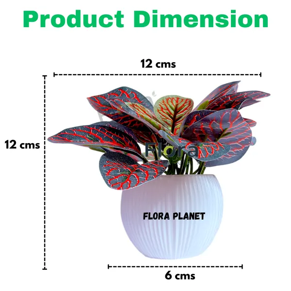 Flora_Planet_Artificial_Decorative_Plant_with_Pot